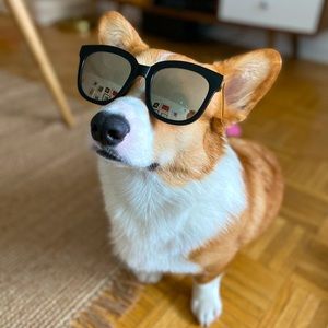 Gentle Monster Sunglasses | Absente | Gold